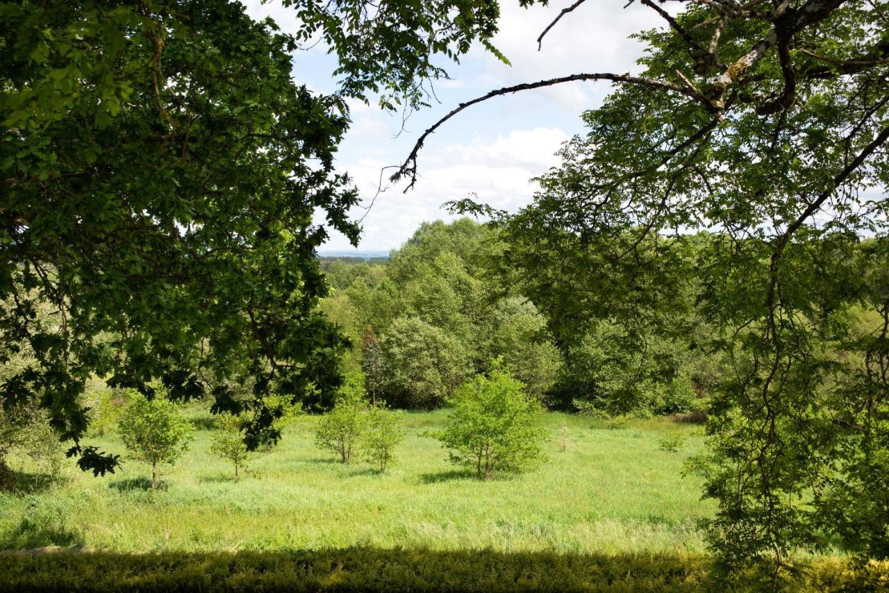 Casa Quinta De Cecil Villalba, Lugo فيلالبا المظهر الخارجي الصورة